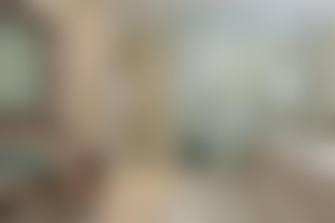 Master bath with large step in shower